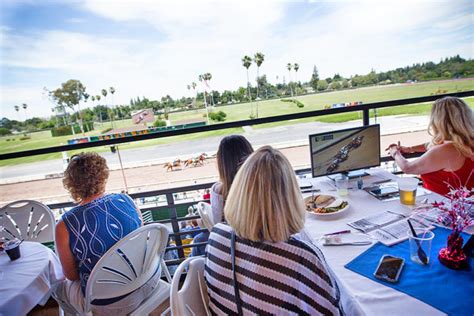 alameda county fair sports betting